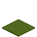 Knitted Green Carpet