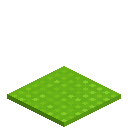 Knitted Lime Carpet