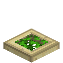Leafy Birch Trapdoor