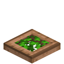 Leafy Jungle Trapdoor