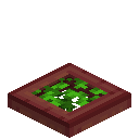 Leafy Mangrove Trapdoor