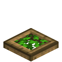 Leafy Oak Trapdoor