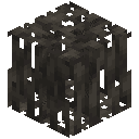 Muddy Mangrove Roots