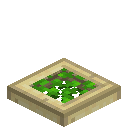 Overgrown Birch Trapdoor