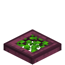 Overgrown Crimson Trapdoor