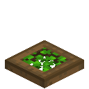 Overgrown Spruce Trapdoor