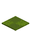 Patched Green Carpet