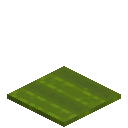 Rectangle Green Carpet