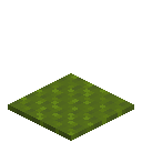 Ribbled Green Carpet