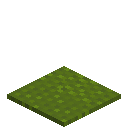 Scaled Green Carpet