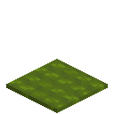 Soft Green Carpet