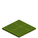 Stringed Green Carpet