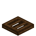Suspicious Dark Oak Trapdoor