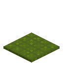 Tiled Green Carpet