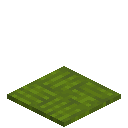 Tripped Green Carpet