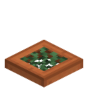 Vined Acacia Trapdoor