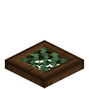 Vined Dark Oak Trapdoor