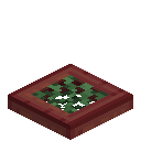 Vined Mangrove Trapdoor