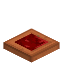 Warted Acacia Trapdoor