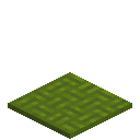 Woved Green Carpet