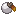 White Apricorn