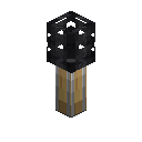 Worm Head