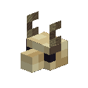 Tiny Skull