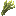 Barley