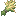 Oat