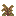Large Sienna Fern