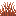 Sienna Grass