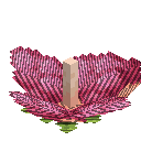Corpse Blossom