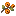 Firethorn Berries