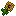Henbane Flower