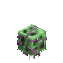 Snap Fungus