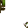 Wild Staff