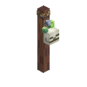 Witch's Pole