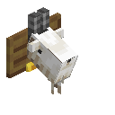 Goat Trophy