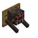 Spider Trophy