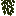 Willow Vines
