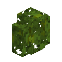 Jungle Hedge