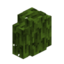 Mangrove Hedge