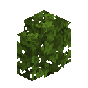 Oak Hedge