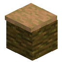 Jungle Counter