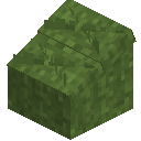 Grass Lower Base Roof