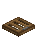 Spruce Tropical Trapdoor