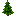 Pine Sapling