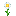 Oxeye Daisy