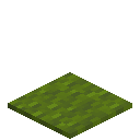 Green Carpet