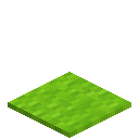 Lime Carpet